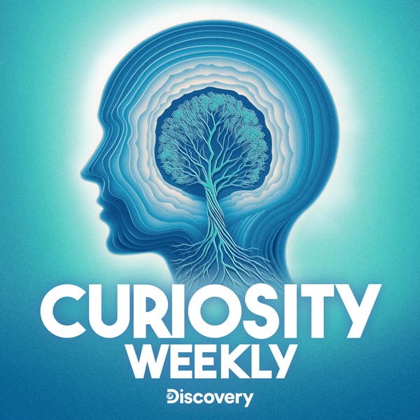 Curiosity Weekly