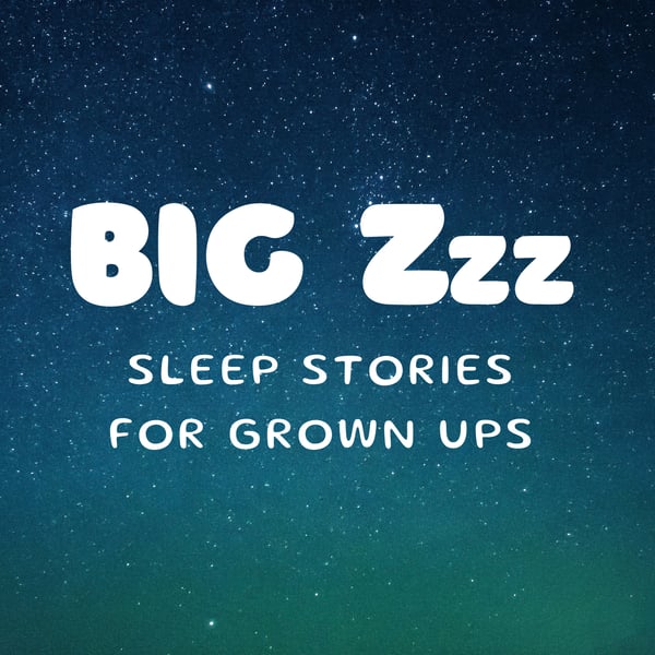 Big Zzz: Sleep Stories for Grown Ups